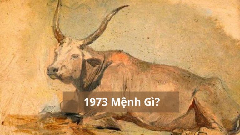 1973 mệnh gì (1200x673)