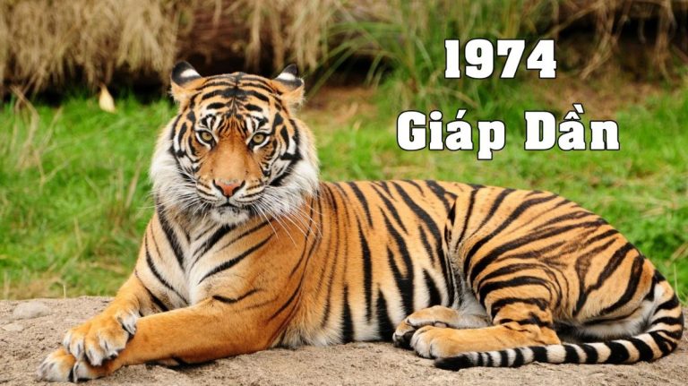 1974 mệnh gì (1200x673)