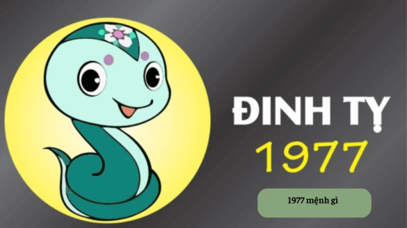 1977 mệnh gì Mekoong