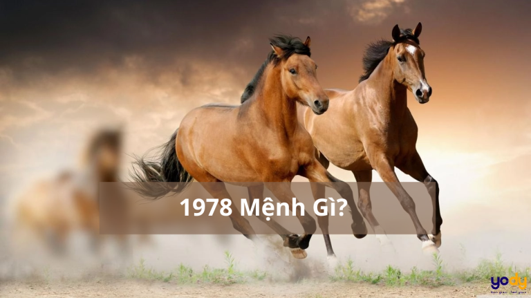 1978 mệnh gì (1200x673)