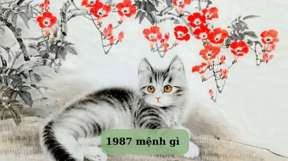 1987 mệnh gì Mekoong