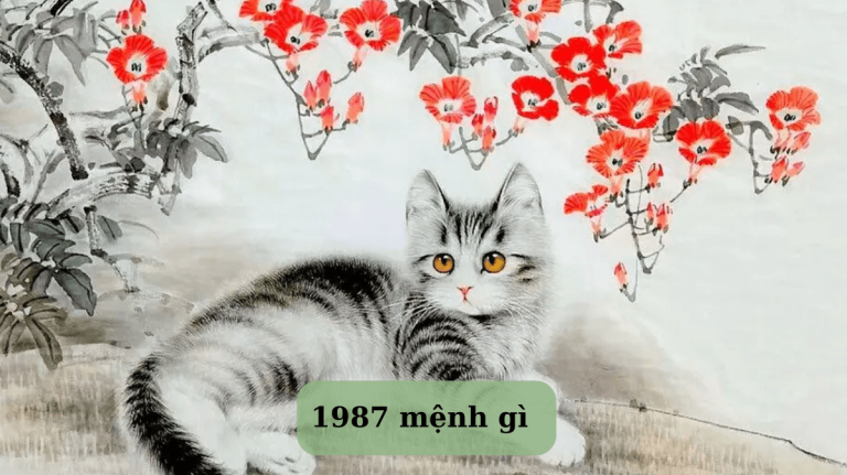 1987 mệnh gì Mekoong