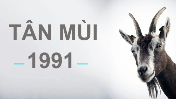 1991 mệnh gì(1200x673)