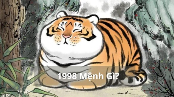 1998 mệnh gì (1200x673)