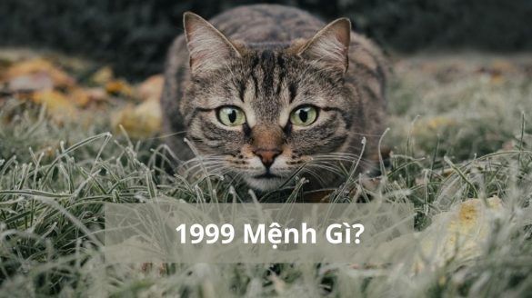 1999 mệnh gì (1200x673)