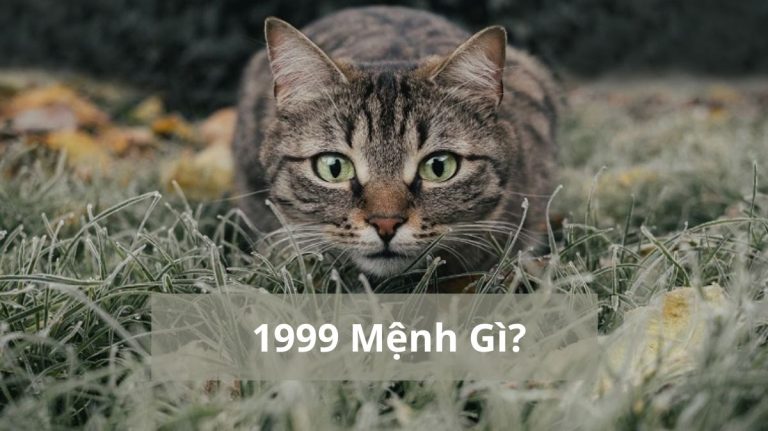 1999 mệnh gì (1200x673)
