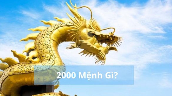 2000 mệnh gì (1200x673)