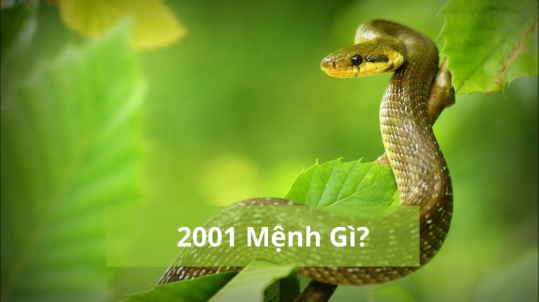 2001 mệnh gì (1200x673)