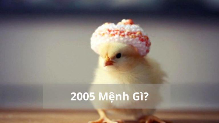 2005 mệnh gì (1200x673)