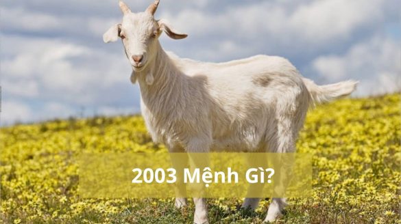 2023 mệnh gì (1200x673)