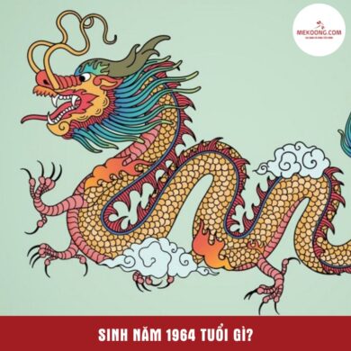 Sinh năm 1964 là năm con gì?