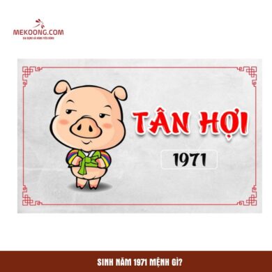 Sinh năm 1971 mệnh gì?