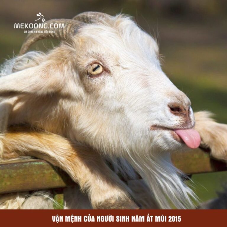 Vận mệnh của người sinh năm Ất Mùi 2015