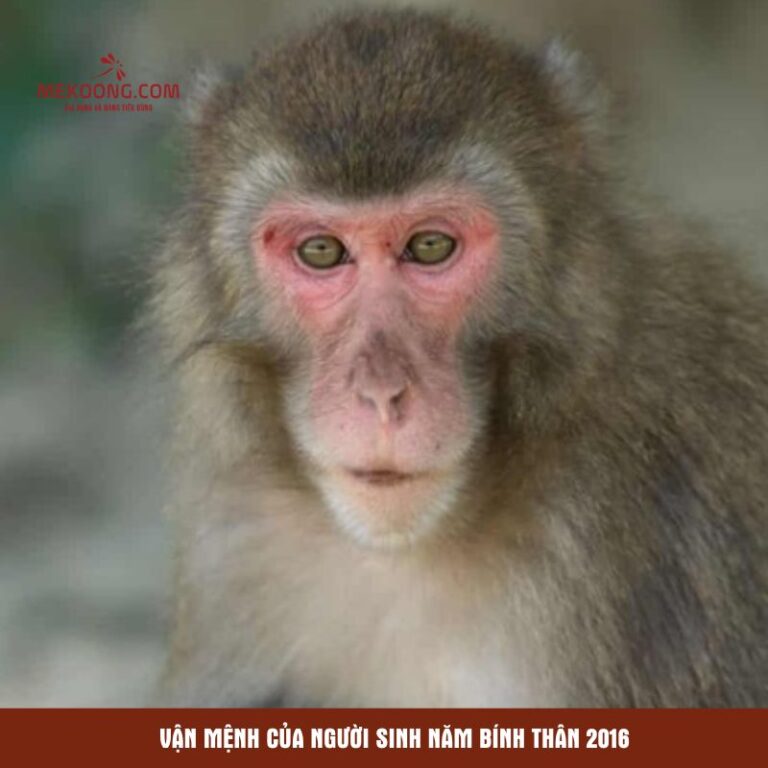 Vận mệnh của người sinh năm Bính Thân 2016