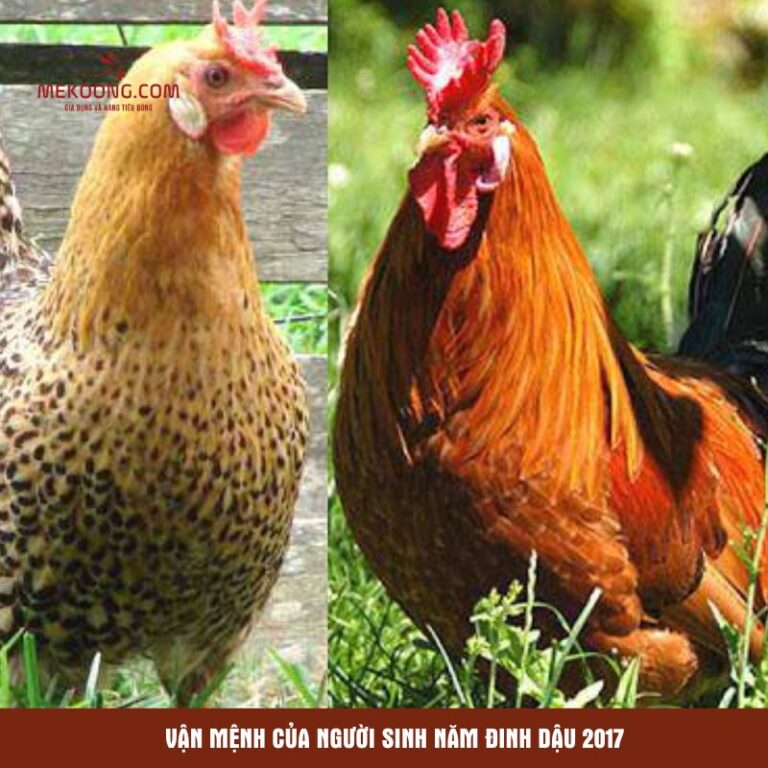 Vận mệnh của người sinh năm Đinh Dậu 2017