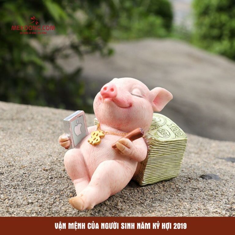 Vận mệnh của người sinh năm Kỷ Hợi 2019