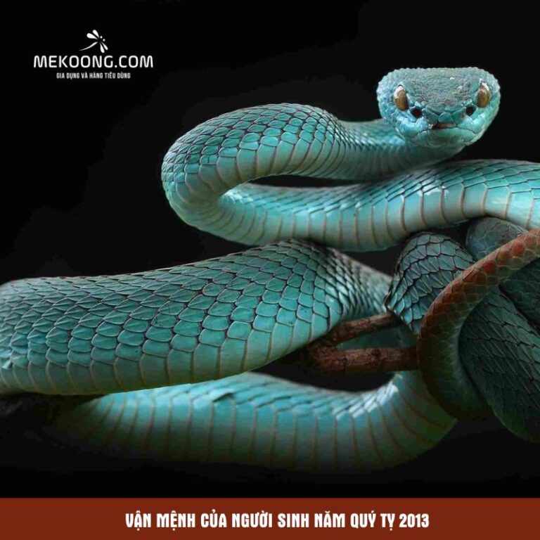 Vận mệnh của người sinh năm Quý Tỵ 2013