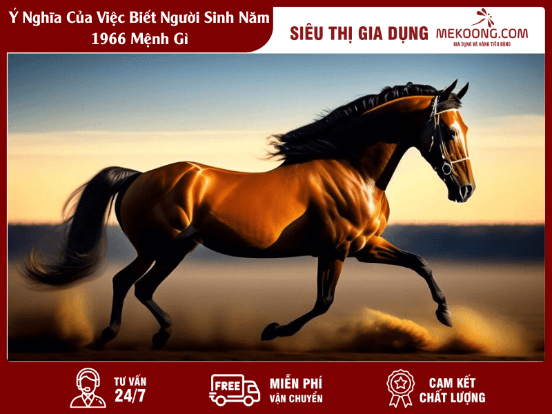Y Nghia Cua Viec Biet Nguoi Sinh Nam 1966 Menh Gi Ý Nghĩa Của Việc Biết Người Sinh Năm 1966 Mệnh Gì