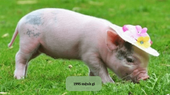 1995 mệnh gì Mekoong