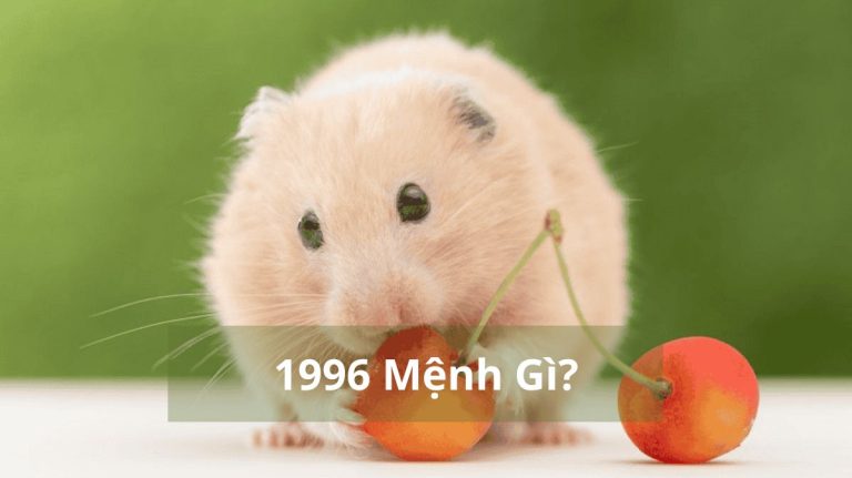 1996 mệnh gì (1200x673)