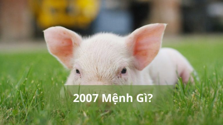 2007 mệnh gì (1200x673)
