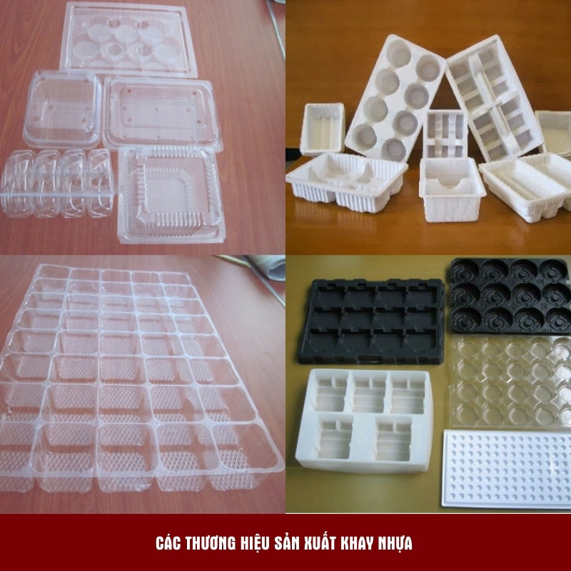 Các thương hiệu sản xuất Khay Nhựa Mekoong
