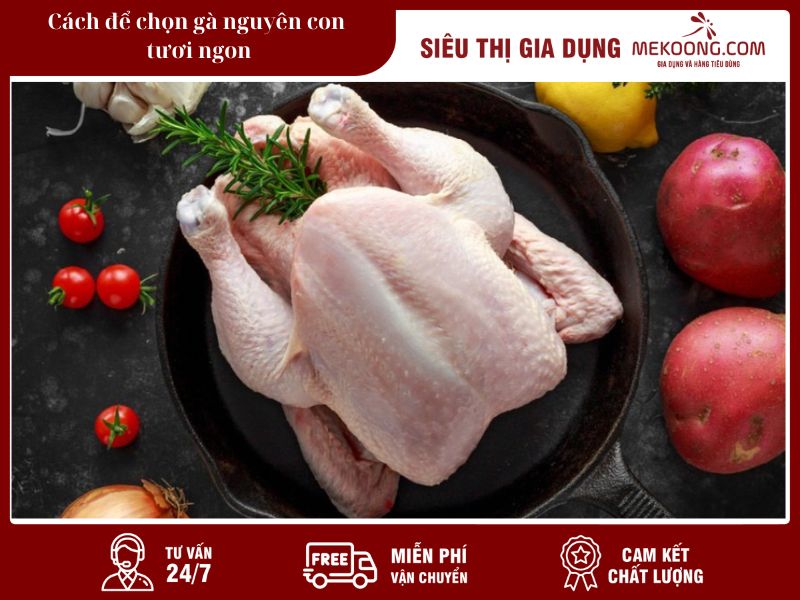 Cách để chọn gà nguyên con tươi ngon