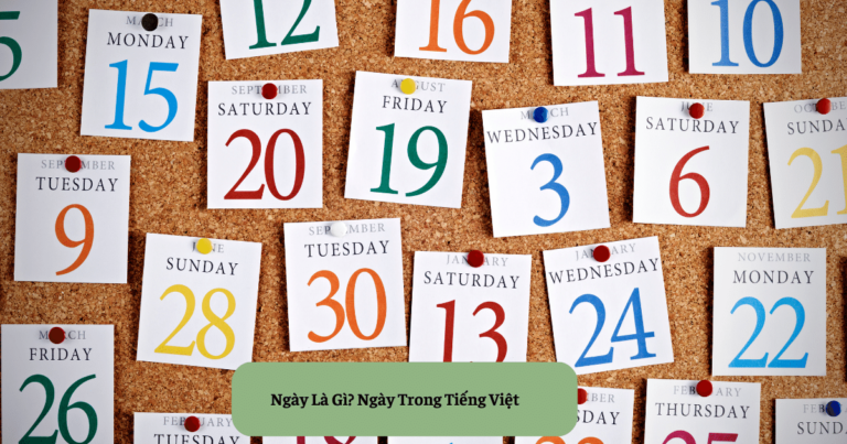 Ngày Là Gì? Ngày Trong Tiếng Việt