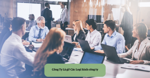 Công Ty Là gì Các Loại hình công ty mekoong