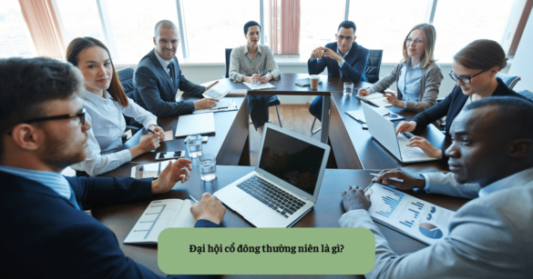 Đại hội cổ đông thường niên là gì Mekoong