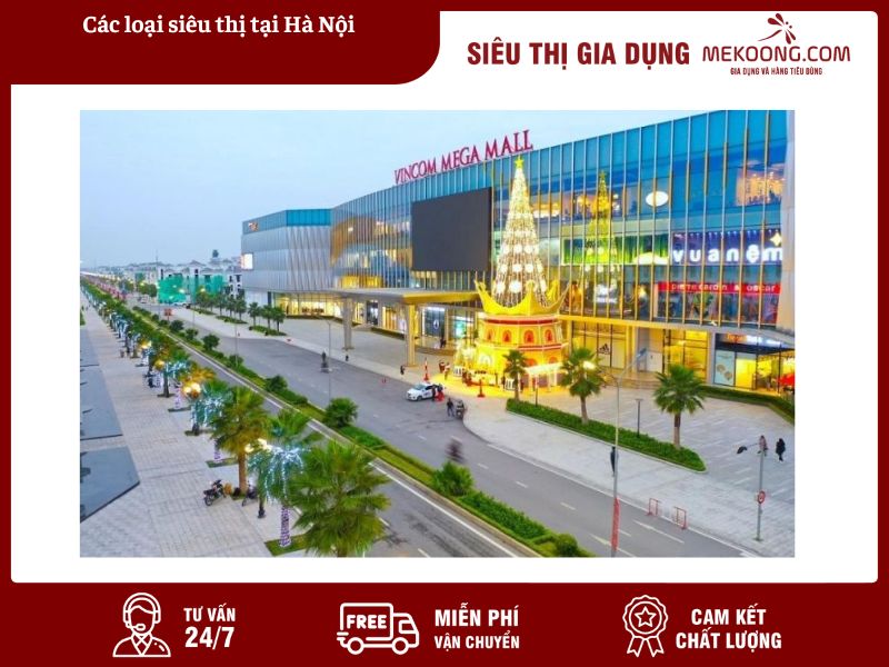 Các loại siêu thị tại Hà Nội Mekoong