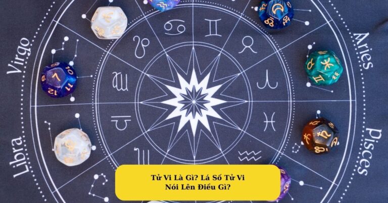 Tử Vi Là Gì Lá Số Tử Vi Nói Lên Điều Gì Mekoong
