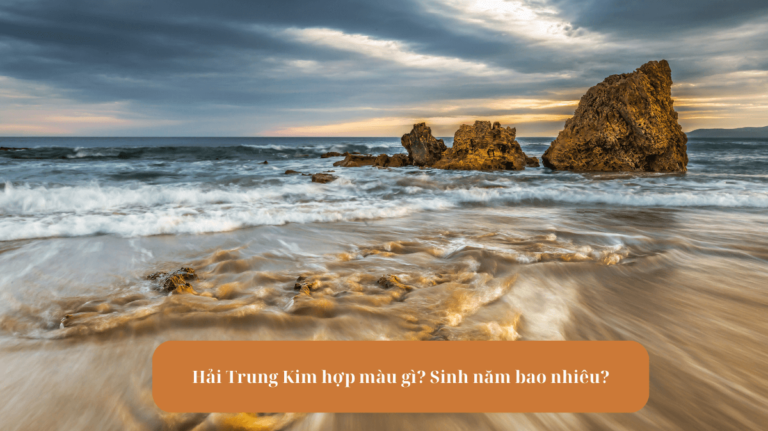 Hải Trung Kim hợp màu gì Sinh năm bao nhiêu Mekoong (2) (1)