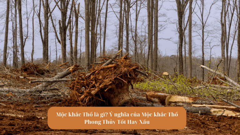 Mộc khắc Thổ là gì Ý nghĩa của Mộc khắc Thổ Phong Thủy Tốt Hay Xấu Mekoong (1)