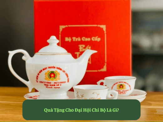 Quà Tặng Cho Đại Hội Chi Bộ Là Gì Mekoong
