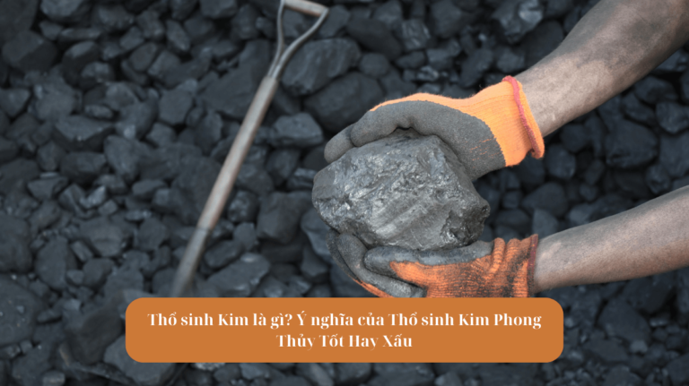 Thổ sinh Kim là gì Ý nghĩa của Thổ sinh Kim Phong Thủy Tốt Hay Xấu Mekoong (1)