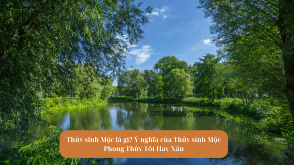 Thủy sinh Mộc là gì Ý nghĩa của Thủy sinh Mộc Phong Thủy Tốt Hay Xấu Mekoong (1)