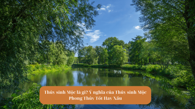 Thủy sinh Mộc là gì Ý nghĩa của Thủy sinh Mộc Phong Thủy Tốt Hay Xấu Mekoong (1)