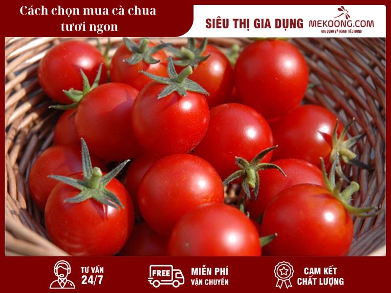 Cách chọn mua cà chua tươi ngon_Mekoong