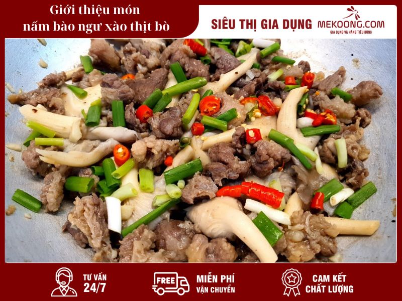 Giới thiệu món nấm bào ngư xào thịt bò_Mekoong