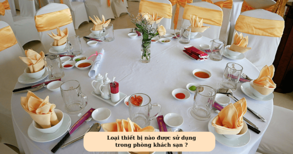 Loại thiết bị nào được sử dụng trong phòng khách sạn Mekoong (1)