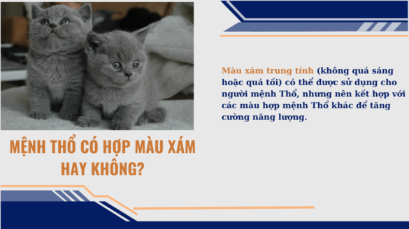 Mệnh Thổ có hợp màu xám hay không Mekoong (1)