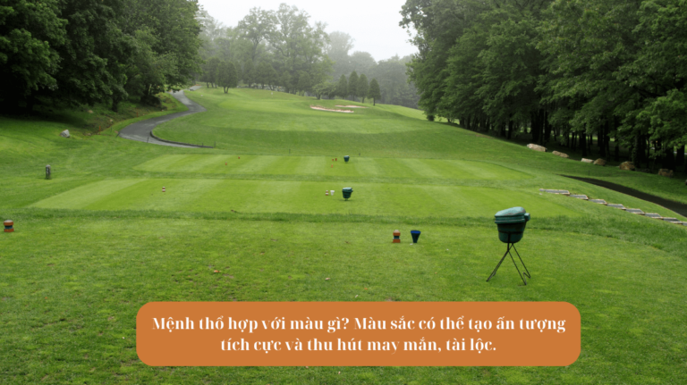 Mệnh thổ hợp với màu gì Màu sắc có thể tạo ấn tượng tích cực và thu hút may mắn, tài lộc Mekoong (1)