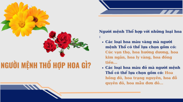 Người mệnh thổ hợp hoa gì Mekoong (1)