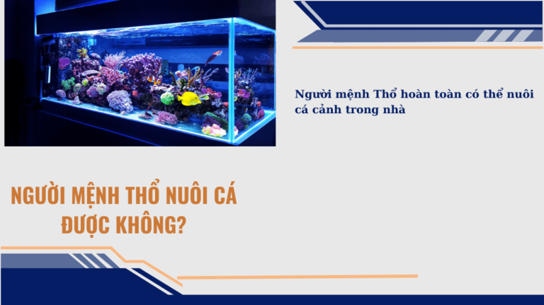 Người mệnh thổ nuôi cá được không Mekoong (1)