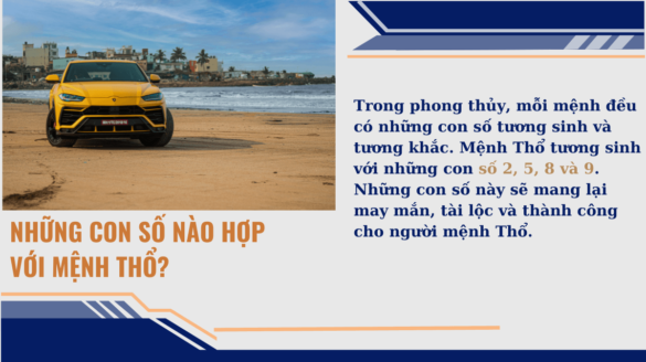 Những Con Số Nào Hợp Với Mệnh Thổ Mekoong (1)