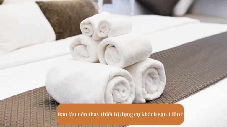 Bao lâu nên thay thiết bị dụng cụ khách sạn 1 lần?