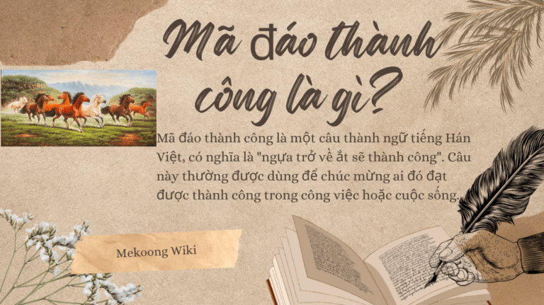 Mã đáo thành công là gì Mekoong (1)