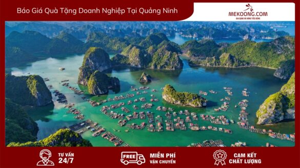 AVT Báo Giá Quà Tặng Doanh Nghiệp Tại Quảng Ninh mekoong