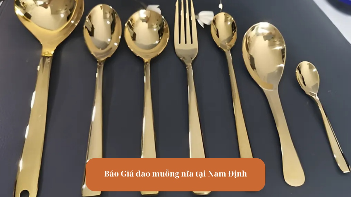 Báo Giá Dao Muỗng Nĩa Tại Nam Định mekoong